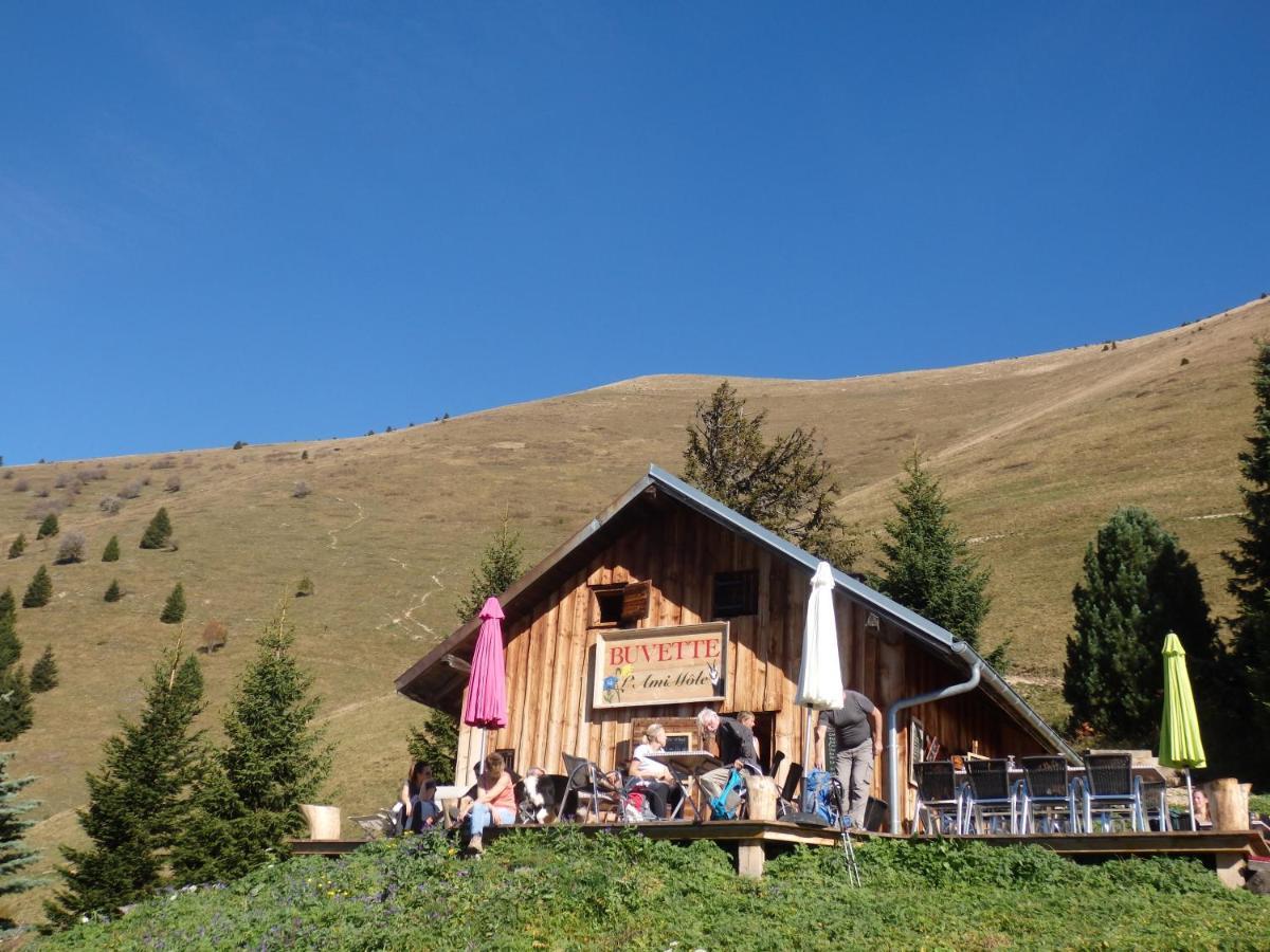 Au Coeur Des Alpes Bed & Breakfast Marignier Exterior photo